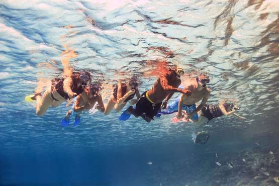 Our service for snorkeling trips includes